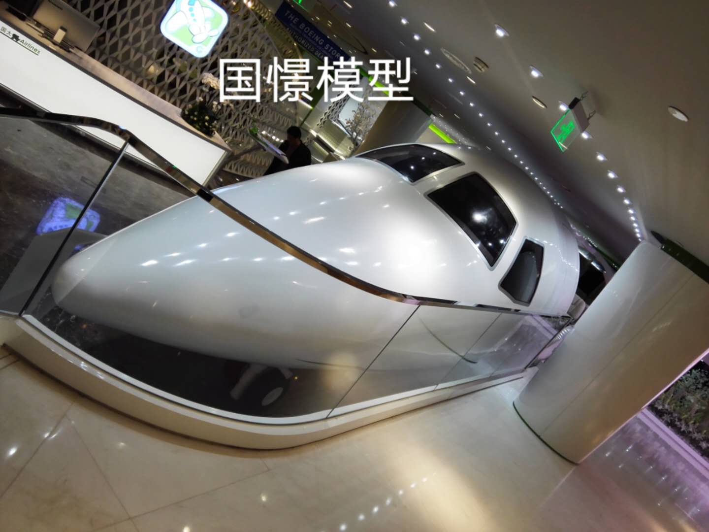 靖州大型仿真模型道具