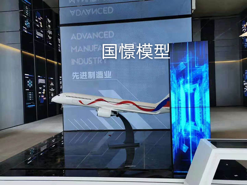 靖州飞机模型