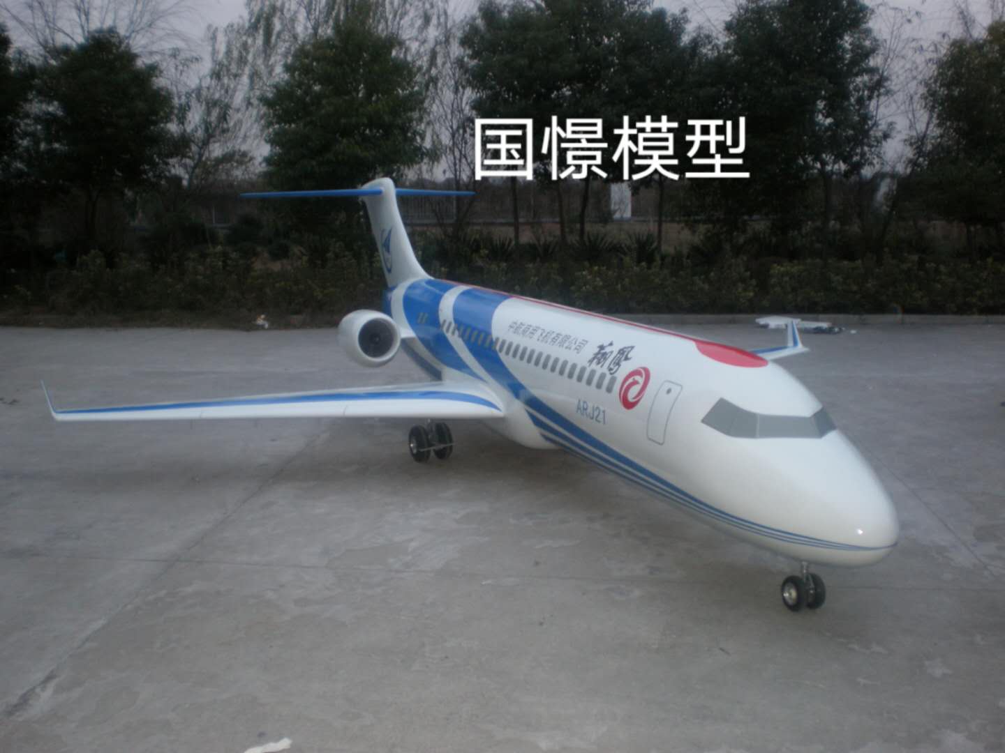 靖州飞机模型