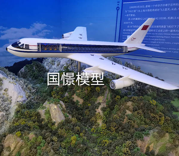 靖州飞机模型