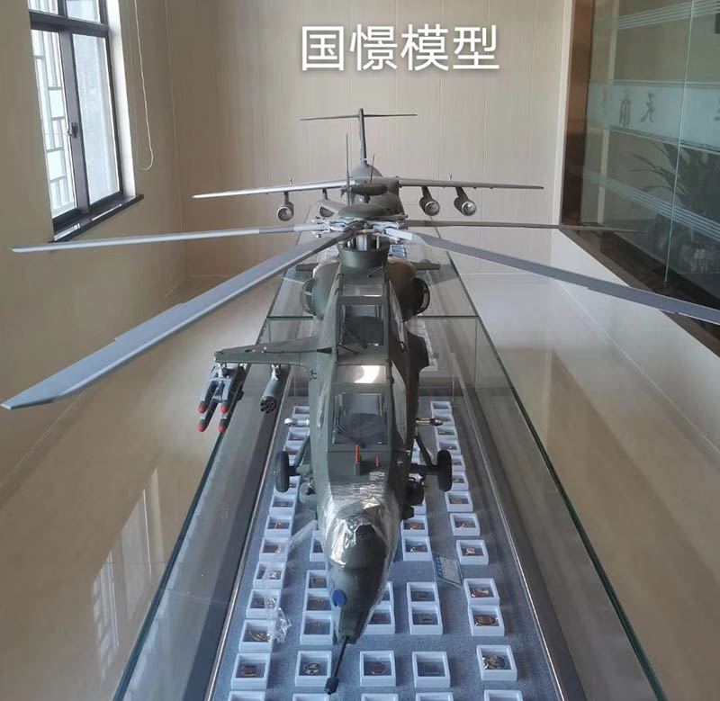 靖州飞机模型