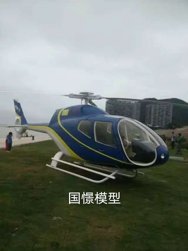 靖州飞机模型