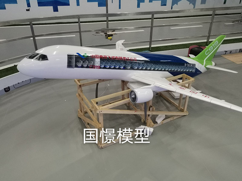 靖州飞机模型