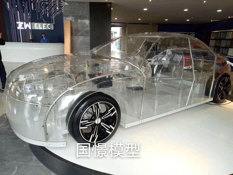 靖州透明车模型