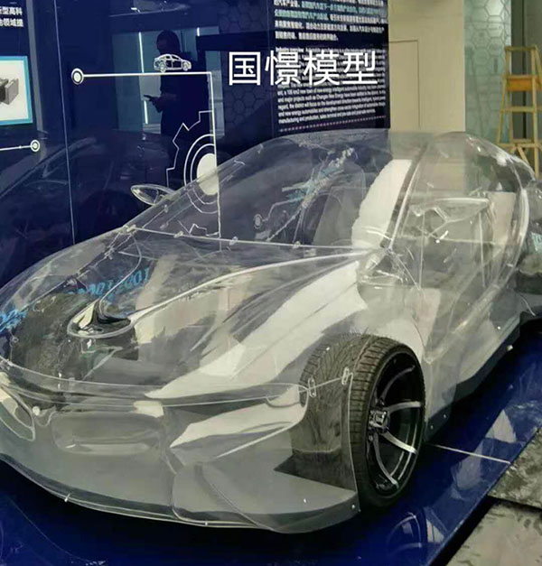 靖州透明车模型