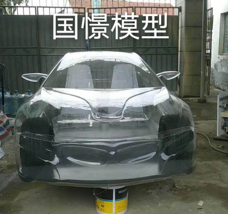 靖州透明车模型