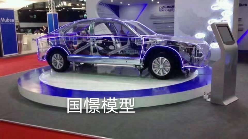 靖州透明车模型