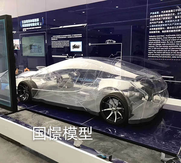 靖州透明车模型