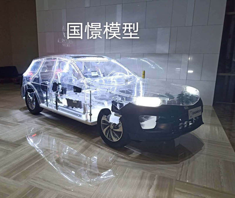 靖州透明车模型