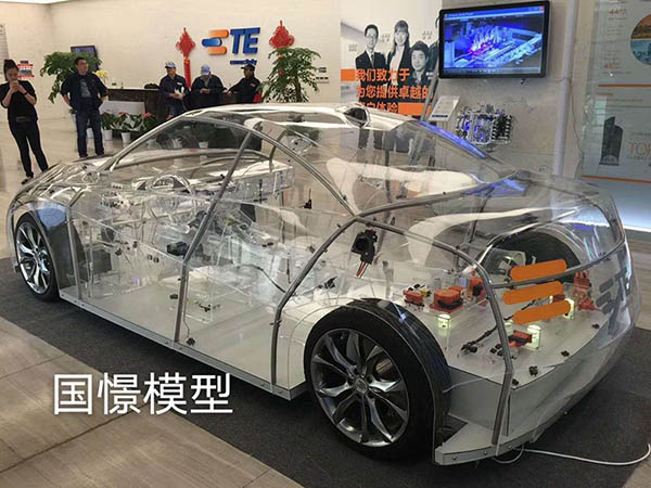 靖州透明车模型